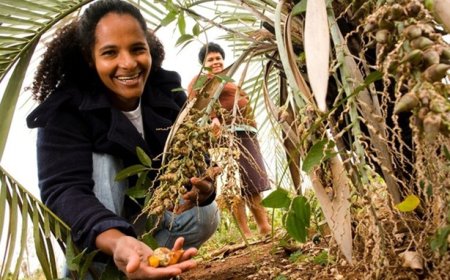 Fomento Rural transforma a vida no campo com 77% de beneficiárias mulheres