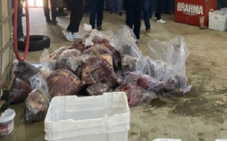 Polícia Civil de Goiás fecha abatedouro clandestino de cavalos