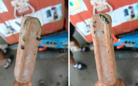 Homem encontra cobra venenosa em picolé
