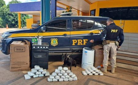 PRF apreende pasta base e maconha escondidas em eletrodomésticos em ônibus na BR-364