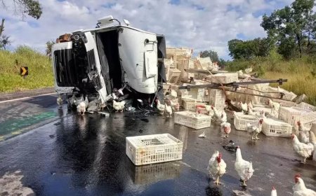 Caminhão carregado com galinhas vivas bate em carreta de refrigerantes tombada