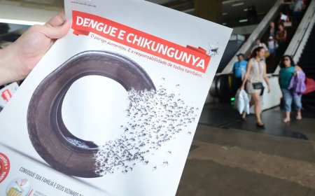 Chikungunya: em surto, município de SC registra segundo óbito