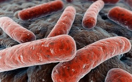 SUS incorpora novo medicamento que otimiza tratamento da brucelose humana