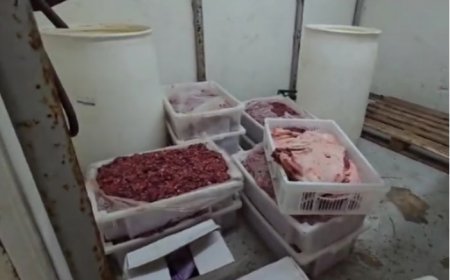 Frigorífico com 37 toneladas de carne imprópria parta consumo é fechado no interior de SP