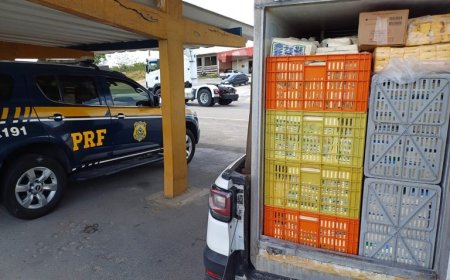 Mais de uma tonelada de queijo sem nota fiscal e sem refrigeração é apreendida pela PRF