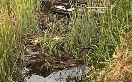 Acidente na BR-452: caminhonete bate em capivara e cai em ribanceira, deixando dois mortos