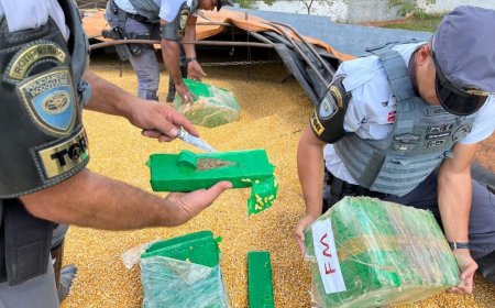 Duas toneladas de maconha em carga de milho são apreendidas no interior de SP