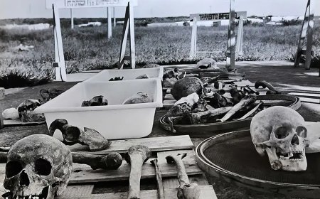 Estado brasileiro pede desculpas por negligência com ossadas de Perus