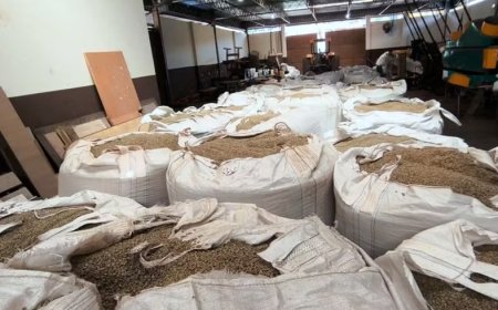 Polícia Civil recupera carga de 19 toneladas de café furtada no Porto de Santos