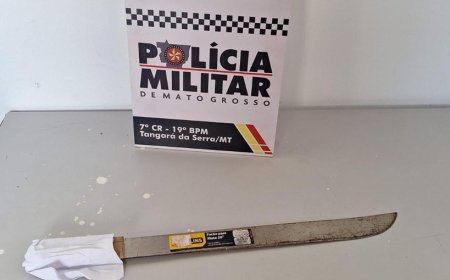 Homem é preso em flagrante após ataque brutal com facão em frente à escola