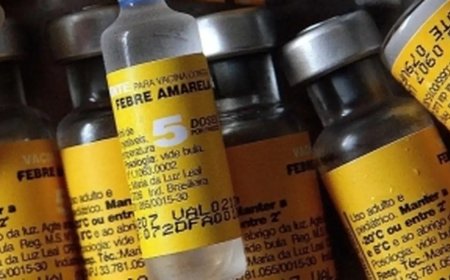 Estado de SP registra 20 mortes por febre amarela desde dezembro