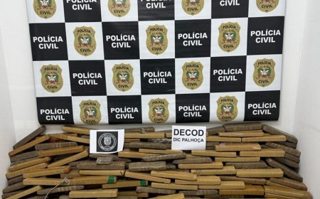 DECOD de Palhoça apreende 400 quilos de maconha e prende um homem em flagrante