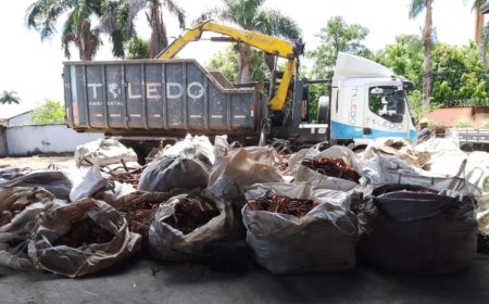Polícia recupera 30 toneladas de cobre furtado em operação em Goiânia