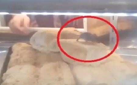 Cliente flagra rato caminhando por cima de alimentos em padaria