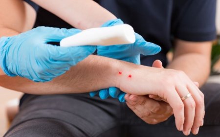 Saiba o que fazer em caso de Picada de cobra para evitar complicações