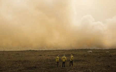 Verão foi menos chuvoso do que o necessário para repor água do solo