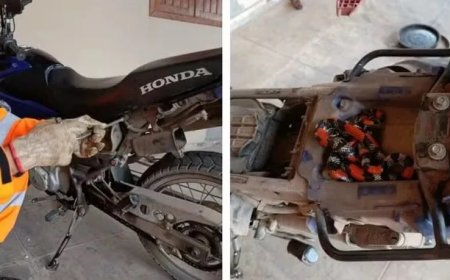 PERIGO!! Cobra-coral é encontrada escondida sob o banco de moto em Montes Claros