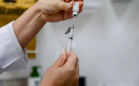 Dengue: 1 milhão de doses da vacina podem ser entregues pelo Butantan