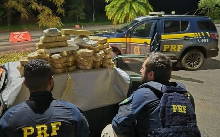 PRF apreende cerca de 30 quilos de maconha escondidos em fundo falso de veículo na BR-365