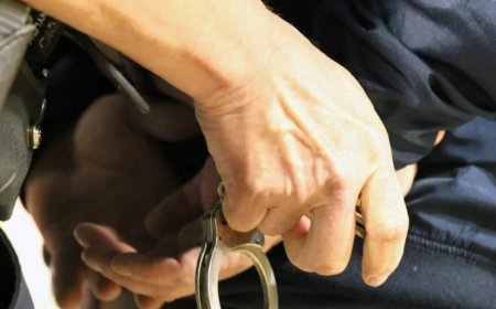 Influenciadora acusada de criar conteúdo erótico com cachorro é presa