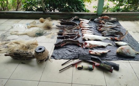 Batalhão Ambiental da PM prende dono de restaurante e apreende cerca de 50 quilos de pescado irregular