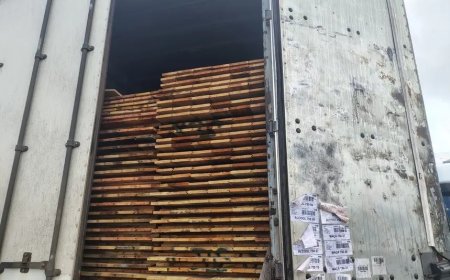 Sefa apreende 37 metros cúbicos de madeira serrada