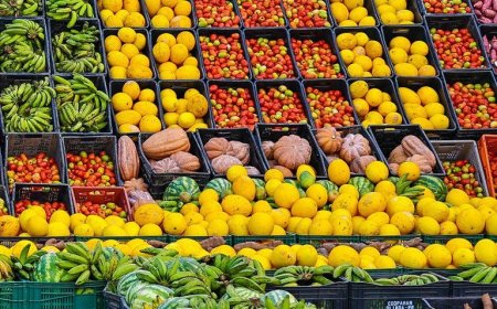 Mais de 40 tipos de frutas foram adquiridas pelo PAA em fevereiro