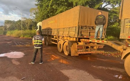 Sefa apreende 48 toneladas de açúcar