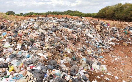 Operação identifica aterro sanitário clandestino no Rio