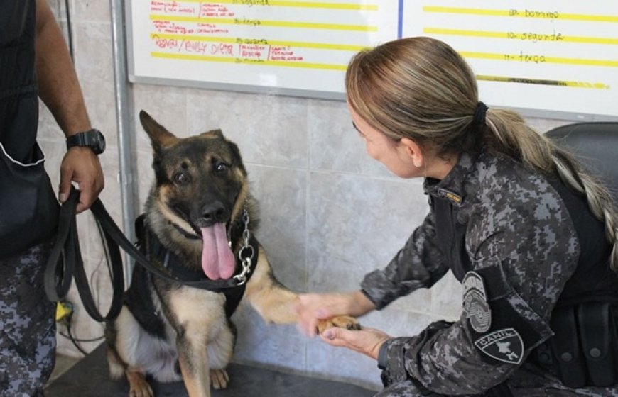 Sonho realizado: coronel se torna 1ª mulher comandante do Canil da PM de SP