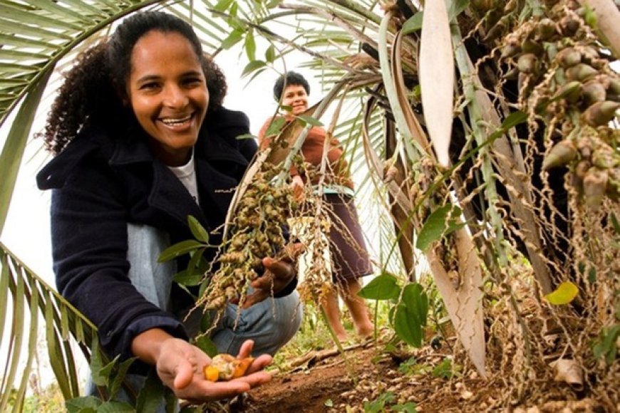 Fomento Rural transforma a vida no campo com 77% de beneficiárias mulheres