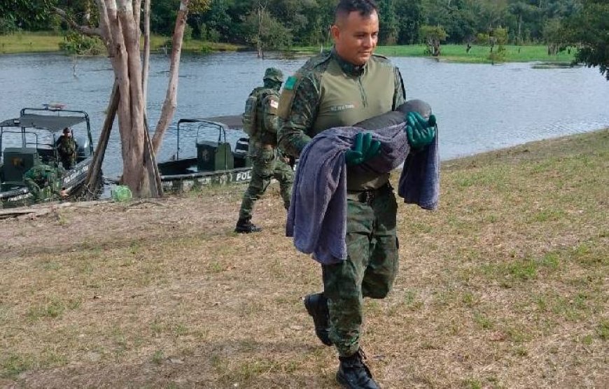 Polícia Militar do Amazonas resgata filhote de peixe-boi em comunidade ribeirinha