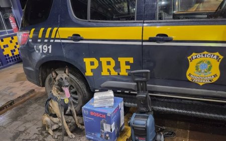 PRF apreende skunk escondido em lavadora de pressão em ônibus em Rondonópolis-MT