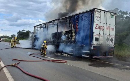 Caminhão carregado com trigo pega fogo em Minas Gerais