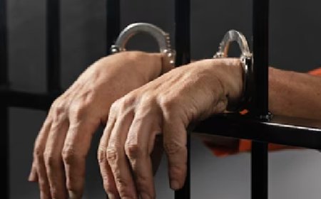 PCGO prende advogado pela segunda vez por crimes de maus-tratos contra a própria mãe idosa