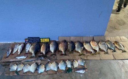 Sema apreende 38 kg de pescado irregular e aplica multa de R$ 8,8 mil a infrator