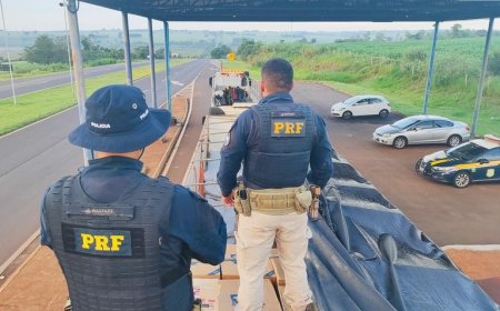 PRF apreende 2,2 toneladas de agrotóxicos e 200 mil maços de cigarros na BR-163