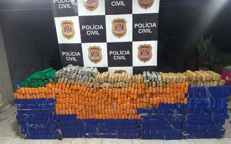 Polícia prende motorista com 2 toneladas de maconha e intercepta carregamento de drogas