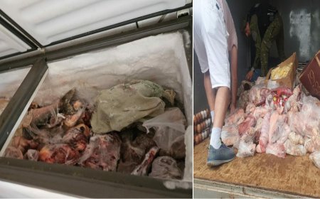 força-tarefa apreende 2 toneladas de alimentos em abatedouro