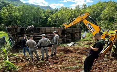 Ônibus com estudantes cai em ribanceira e deixa sete mortos no RS