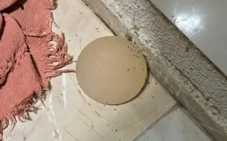 Homem é preso após arrancar prótese de silicone da companheira com faca no DF