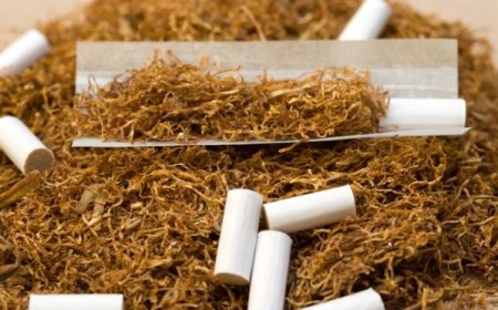 PRF apreende cerca de 27 toneladas de tabaco sem nota fiscal em São Sebastião/AL