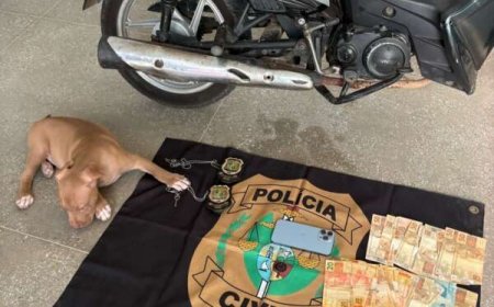 Adolescente furta R$ 30 mil, pede demissão e pai compra moto e pit bull para disfarçar o crime