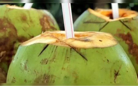 Homem morre depois de consumir água de coco podre. Entenda os riscos