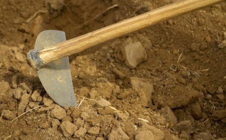 Sogro mata nora com golpes de enxada após discussão no RN