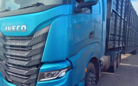 PRF identifica transporte irregular de 101 bezerros em Imperatriz (MA)