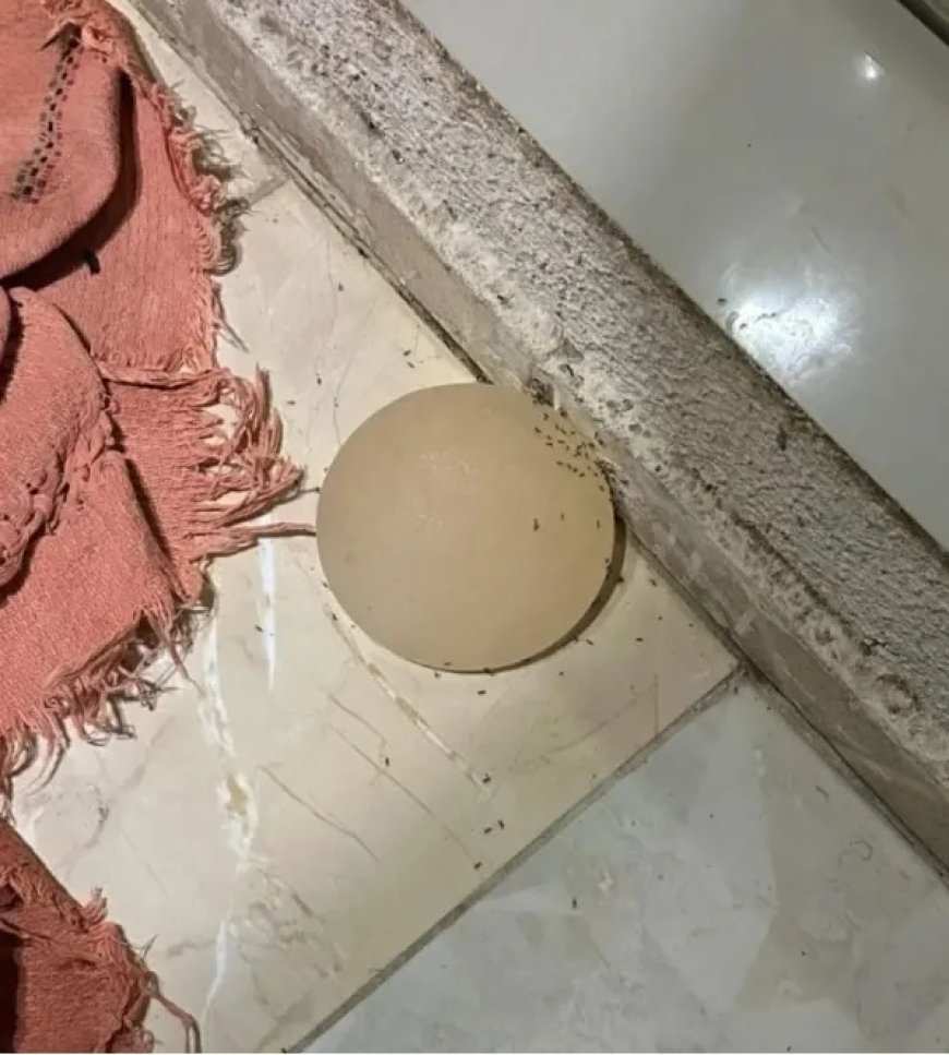 Homem é preso após arrancar prótese de silicone da companheira com faca no DF