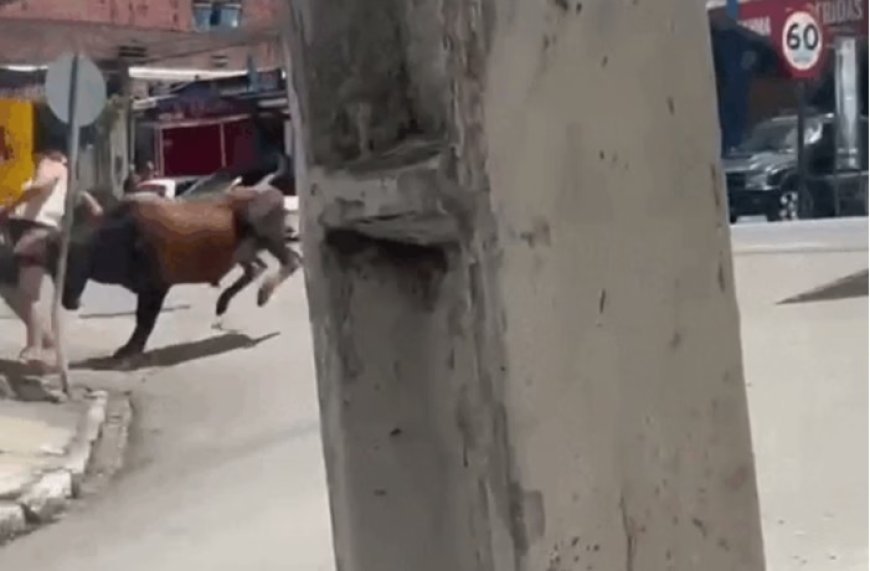 Mulher fica ferida ao ser atacada por boi solto em rua