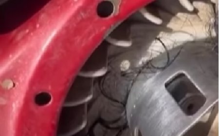 Mulher morre após ter cabelo puxado por motor de barco no Rio São Francisco, na Bahia