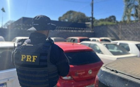 PRF realiza leilão on-line de veículos retidos e abandonados em pátios do estado